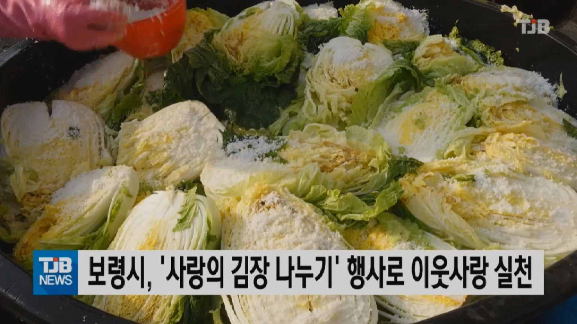 [1112 TJB 뉴스]보령시 사랑의 김장 나누기 행사로 이웃사랑 실천